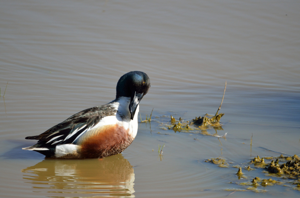 DSC_7149.JPG