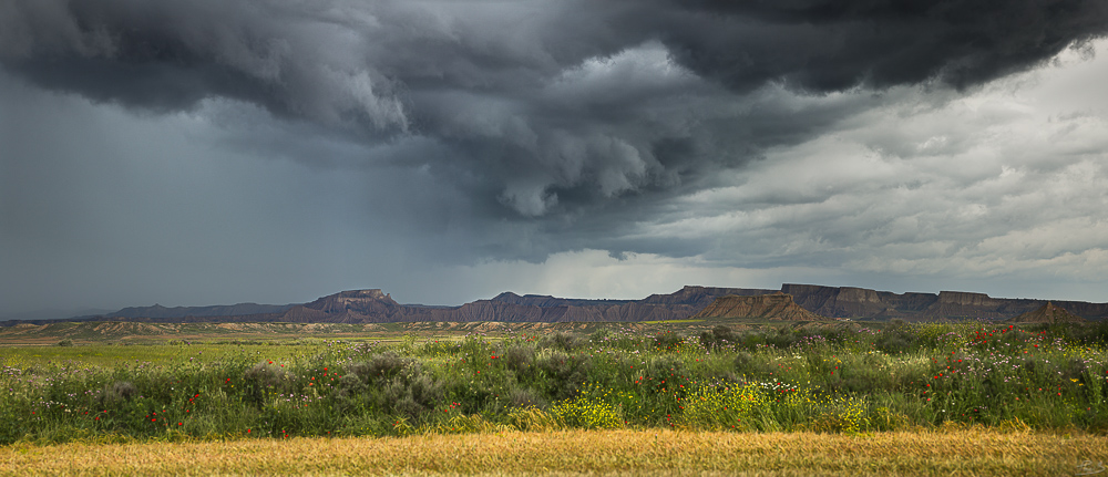 EG7A6713_1_pano.jpg.ab075d3d558ec0715ab355e75c92409d.jpg