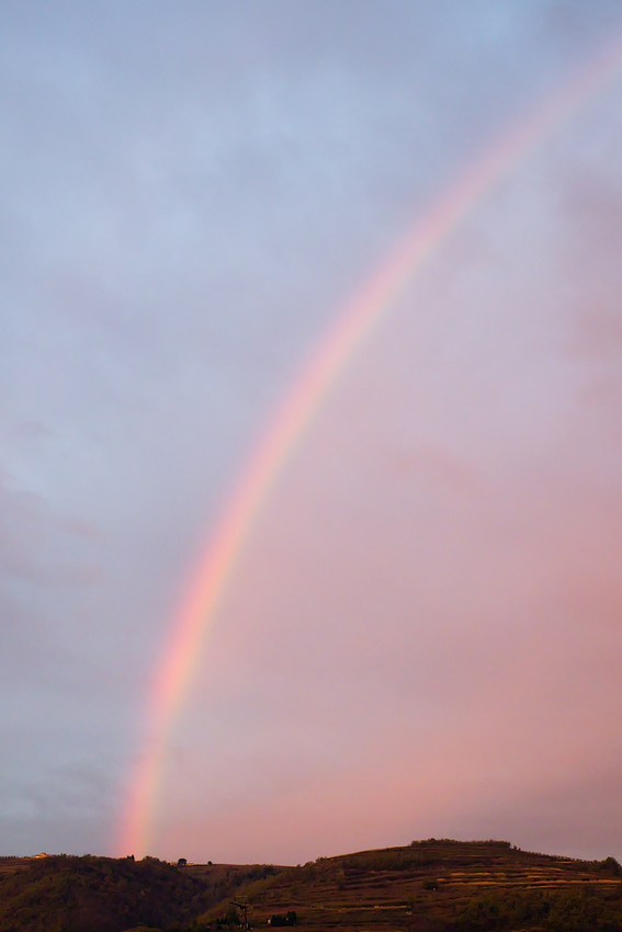 VHA08083.jpg