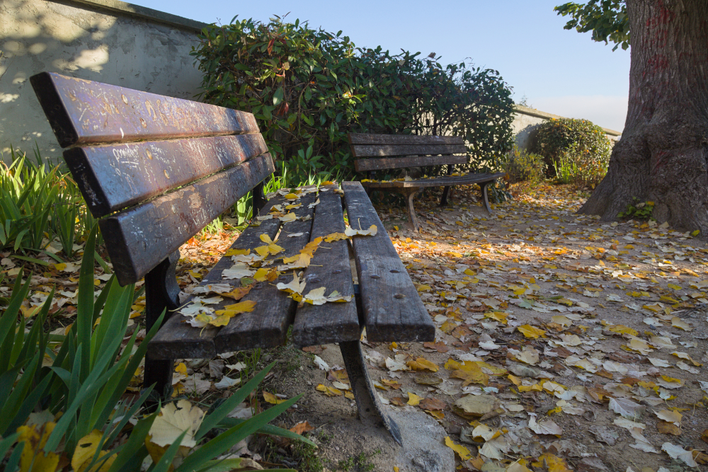 bancs3534.jpg.ae9c20d6a0057a7c4092dff261f93cf4.jpg