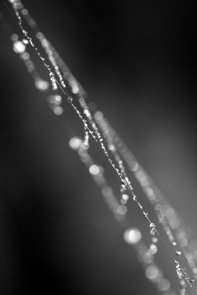 dts3009R.jpg.6bfa7005d13721dbc21a67d87e9ad223.jpg