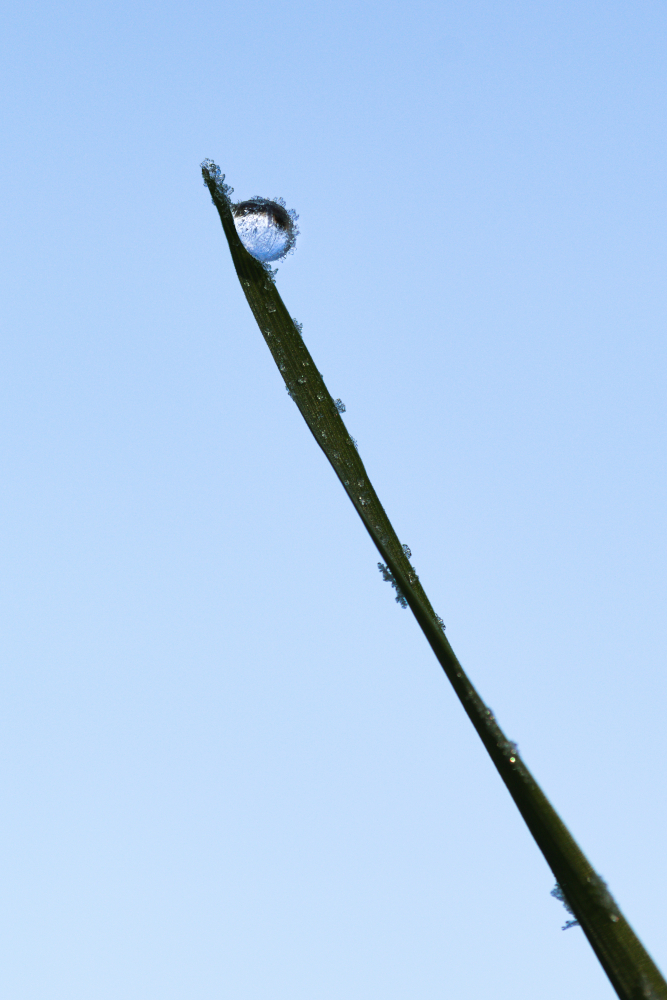 gelee6731.jpg.e13260b98b01d9de87dc87e65f35b992.jpg