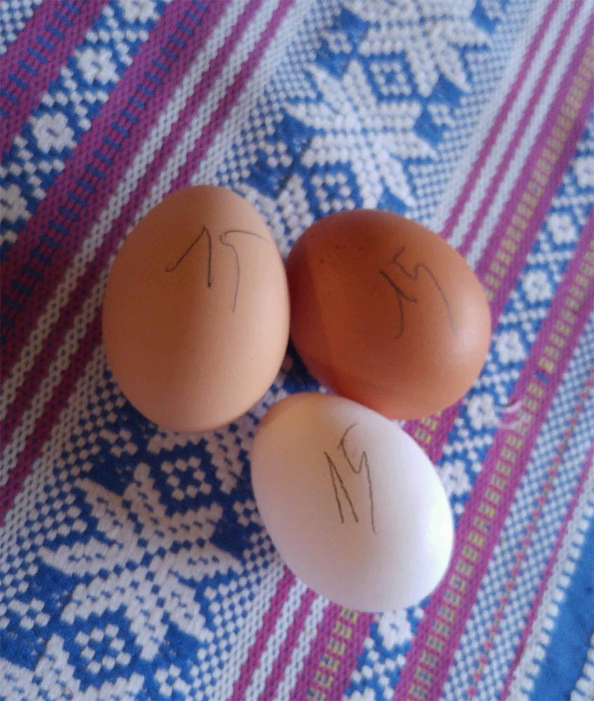 oeufs.jpg.106eca0f19e8044ff18386e96acf6e20.jpg