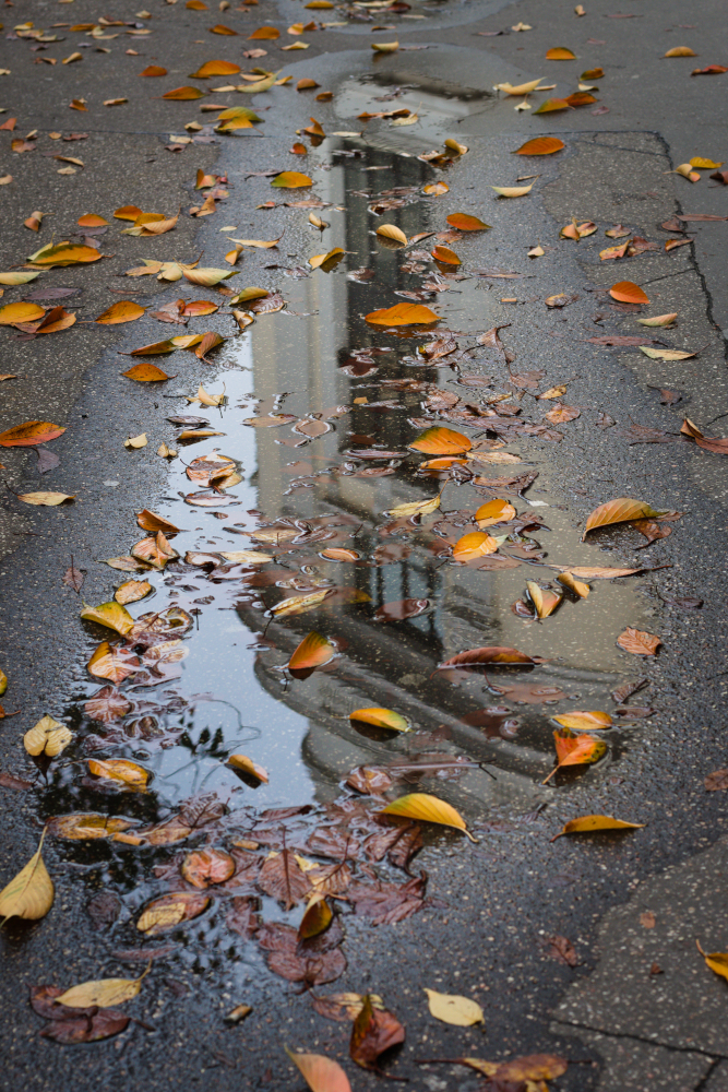 reflet6570.jpg.41d4509852609fdeca8988e95c27b9c9.jpg