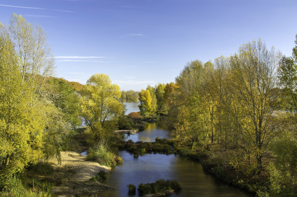 Orleans vue du pont Georges V