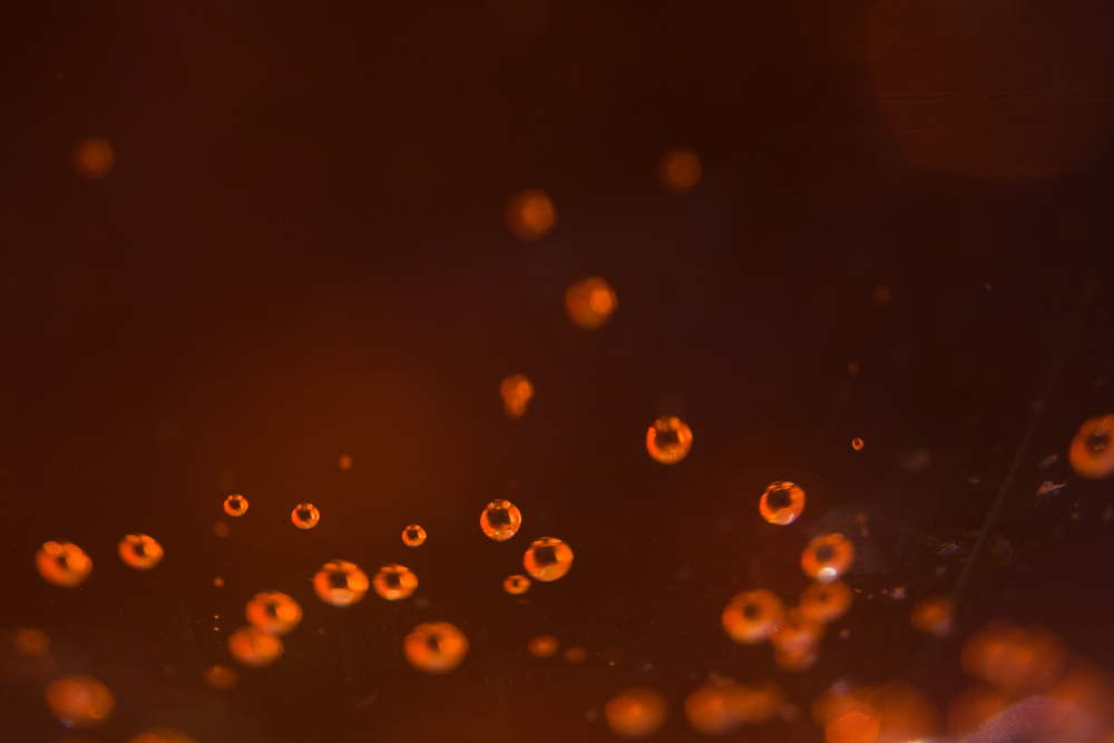 spritz3904.jpg.4187de969369dc5360b8eec30d1f5070.jpg