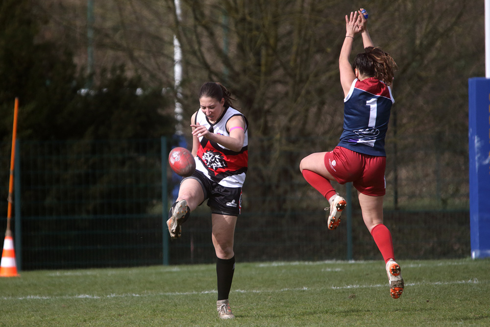 IMG_1712.jpg.88caf0df7dac52922ed5592757b4126b.jpg