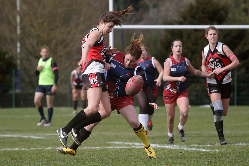 IMG_1730.jpg.070f503a90b562bca872e984ea4279ad.jpg