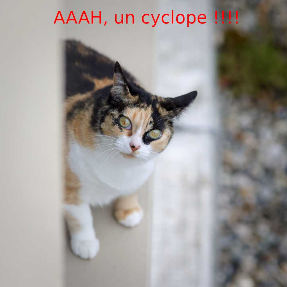 cyclope8666.jpg.92fcca4996fda6d8cc74d9aa7ea0aa4e.jpg