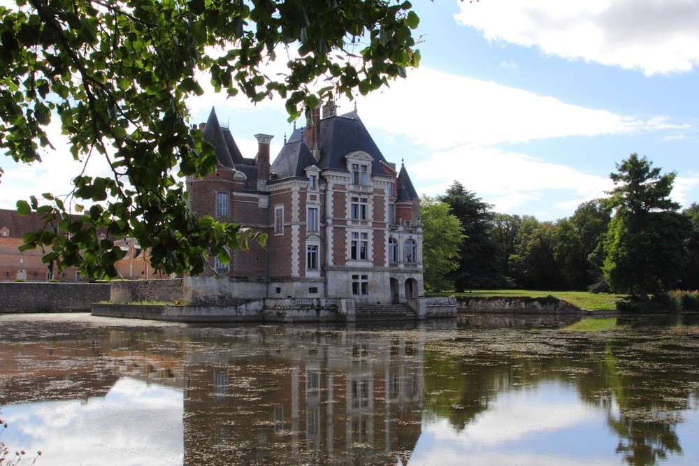 IMG_9677 Chateau de la Bussière.JPG