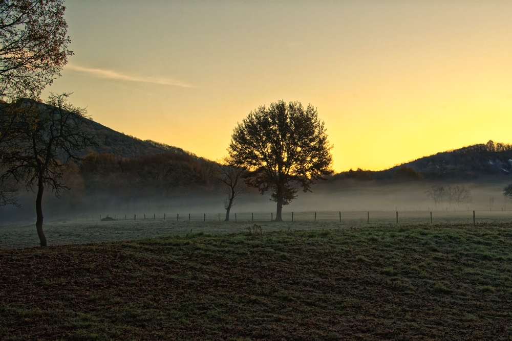 1097436037_Leverdesoleilbrumeux.jpg.1f567bd8c0fb8fd9b7458f4a949a9152.jpg
