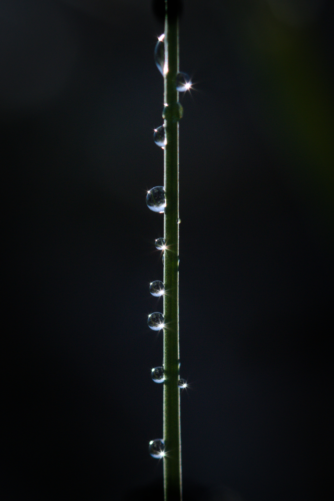 1104535221_ranges6695.jpg.e77c3c0d013199ae7585dca580d479d7.jpg