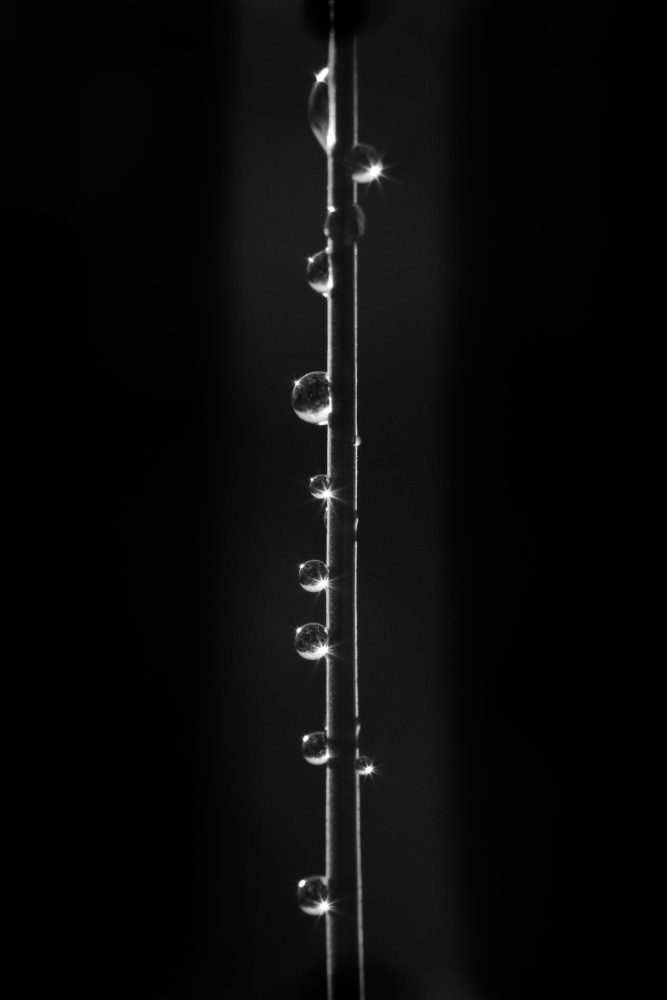 2069335997_ranges6695NB.jpg.fffea6b97720cd006b05fc85f0c41017.jpg