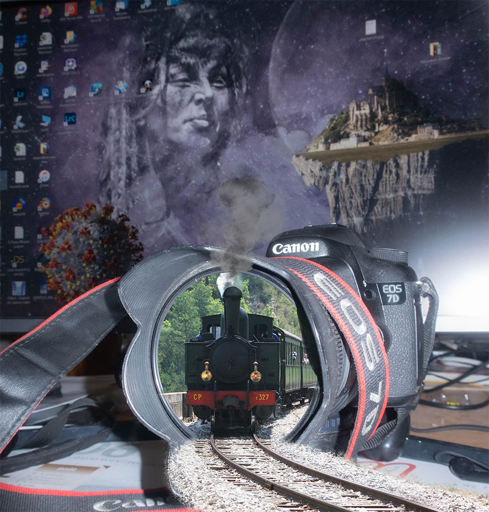 374220828_Traindespignes.jpg.713c7c2e9b203f12a28c9584958951b9.jpg