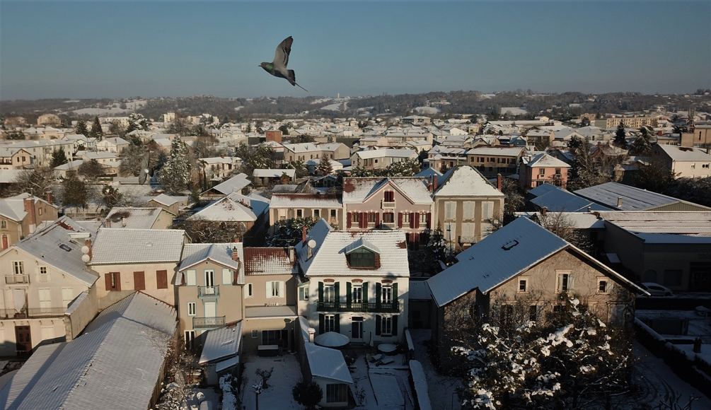 DJI_0170.JPG