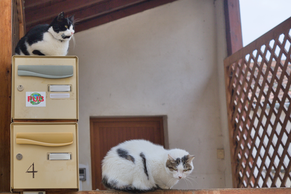 attente.jpg.bb23523a1356c243c3cdfe3d577a2b72.jpg