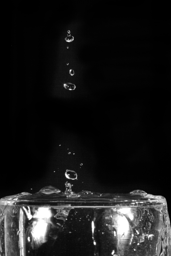 plopNB5941.jpg.ace174478a6c9272a506745f4468f3e6.jpg