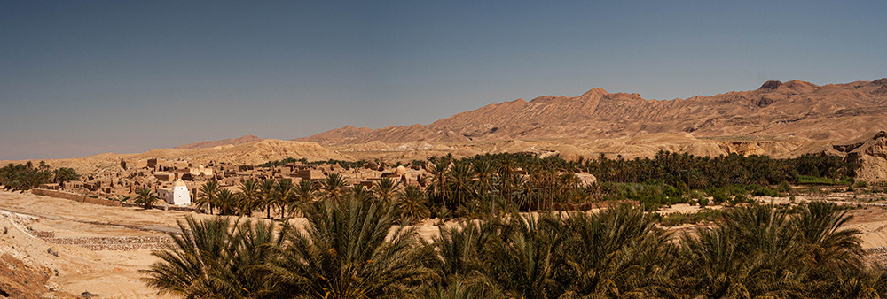 1265519673_Tamerzacity.jpg.f94c1b600446a1f950ad71e5bf426cc4.jpg