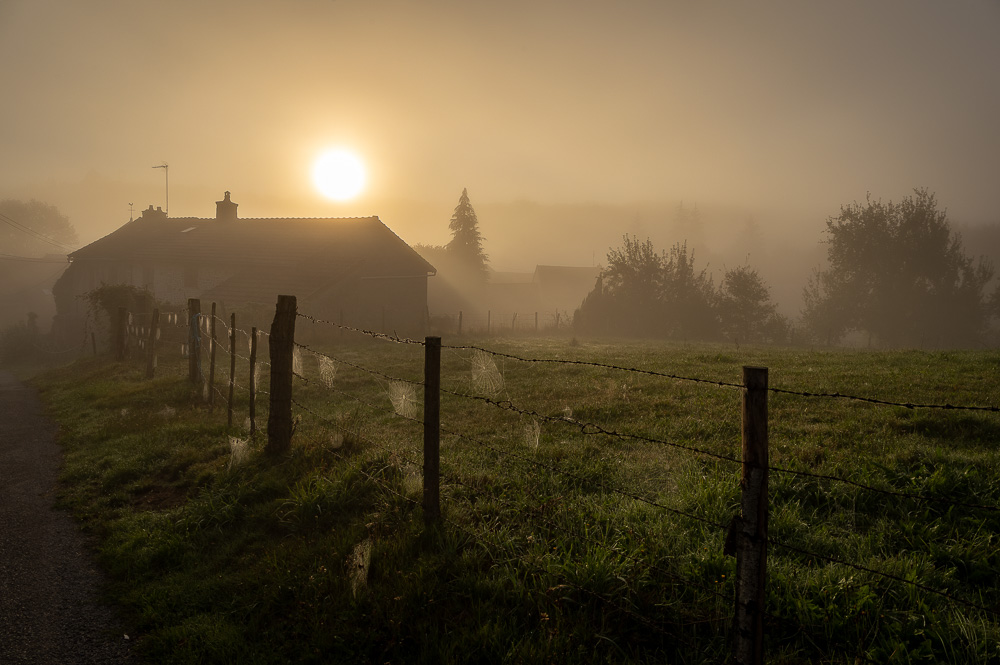 2C5A3026-HDR.jpg.f3771dc7d33aa43f62e6ebc527047781.jpg