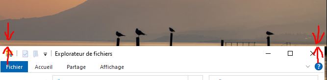 CaPenche.JPG.daa1341f72ae0eee2c108f9000c153b0.JPG