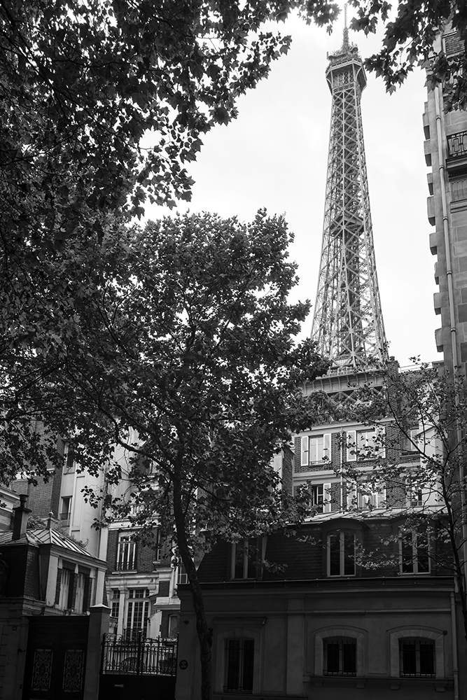 DSC02606.jpg.3661f52c72b4abdc6c05f16f910ca818.jpg