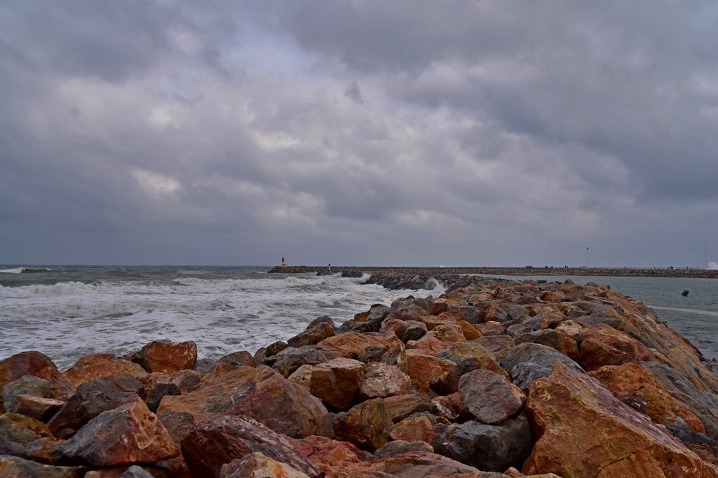 DSC_8705.jpg