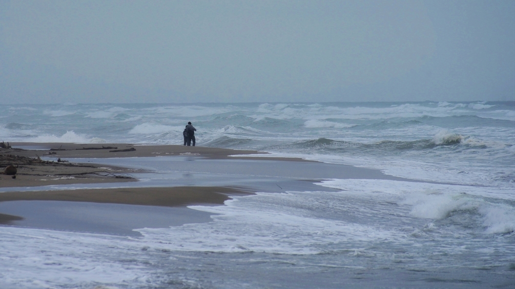 DSC_8780.jpg