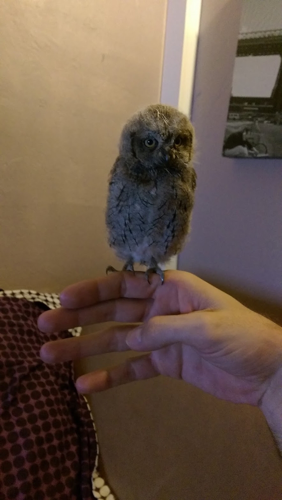 IMAG0162.jpg