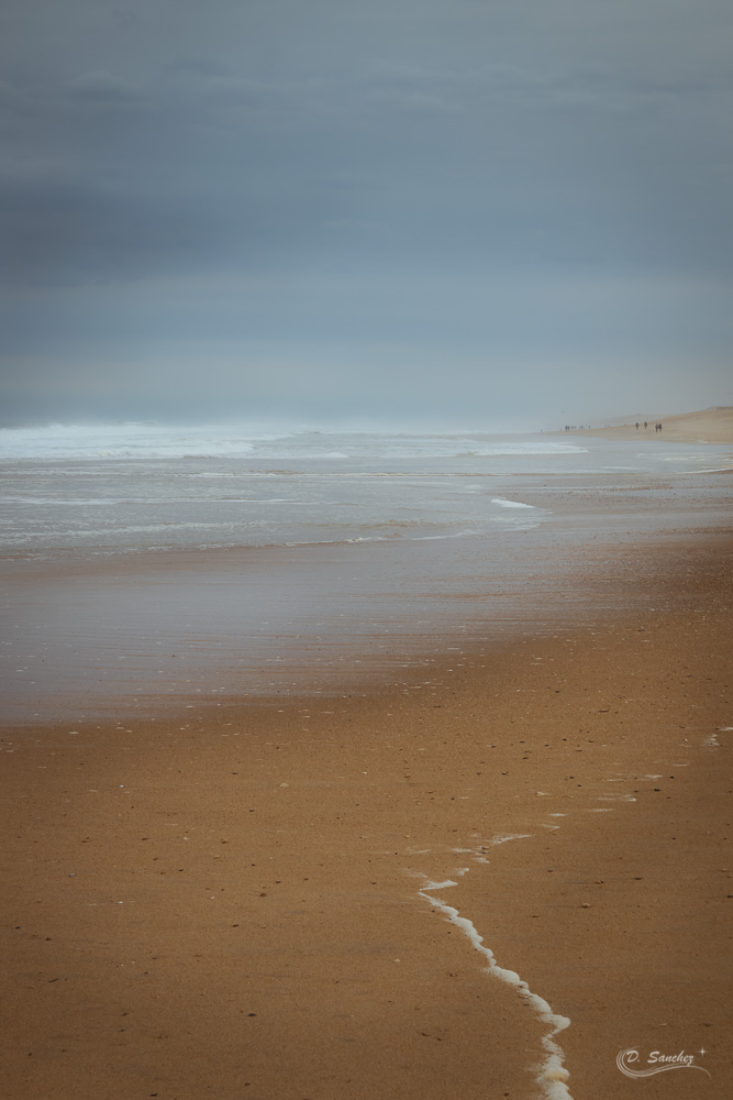IMG_6641-Modifier-Modifier.jpg.d9645288c88ef8dd187e123cf7d30380.jpg