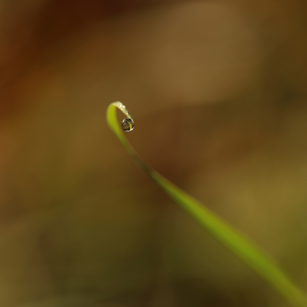 2G6A7546.JPG.9df17bcb059b8c903e57b8fcb555fb63.JPG
