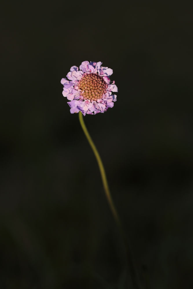 2G6A7555.JPG.e98aeaa2076cd1a6f7a908d3224abf83.JPG