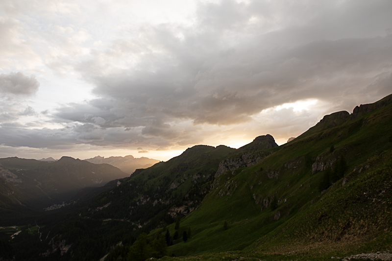 411A9694-2.jpg.eff87d52b2bb3615eb6cdea1ed9a94c7.jpg