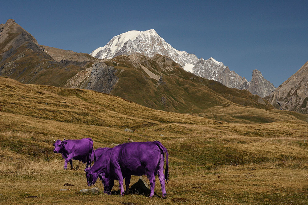 51475406_MontBlancdepuisPetitSaintBernardrectif.jpg.ea16e20ee872f045ce96e5998b0fabcd.jpg