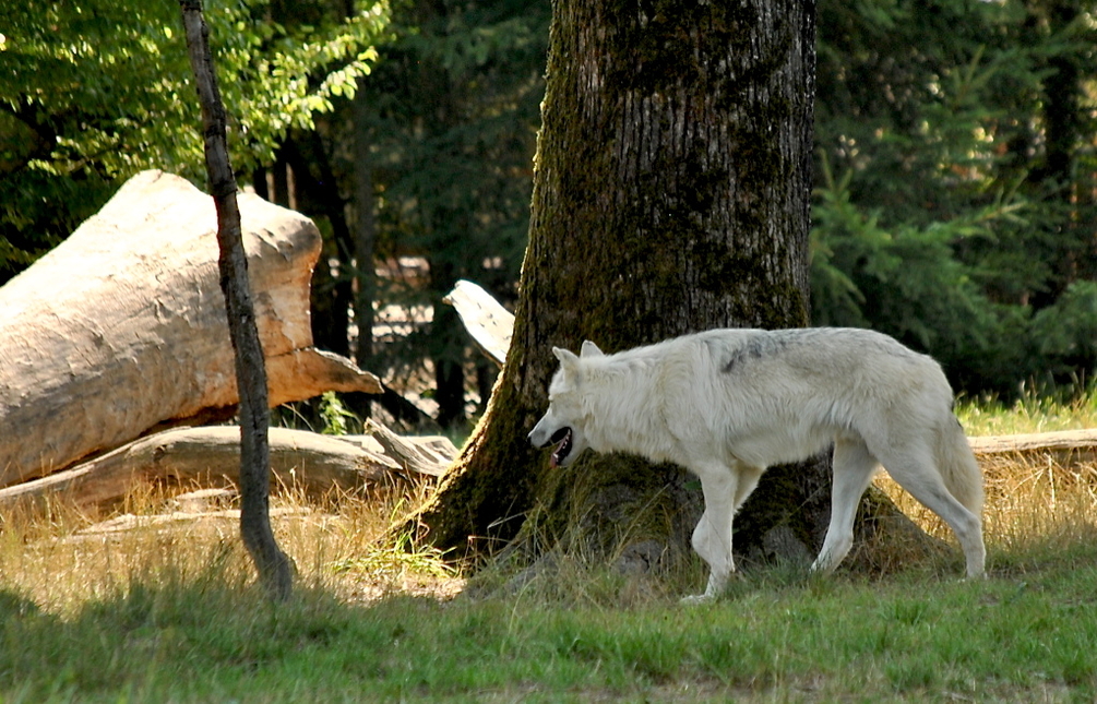 DSC_0080_1024.jpg
