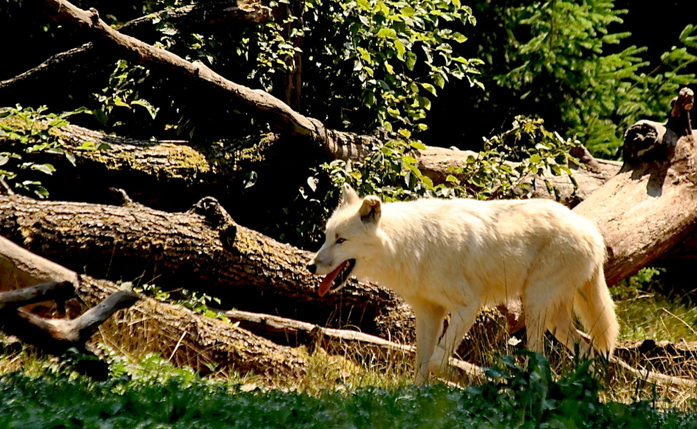 DSC_0082_1024.jpg