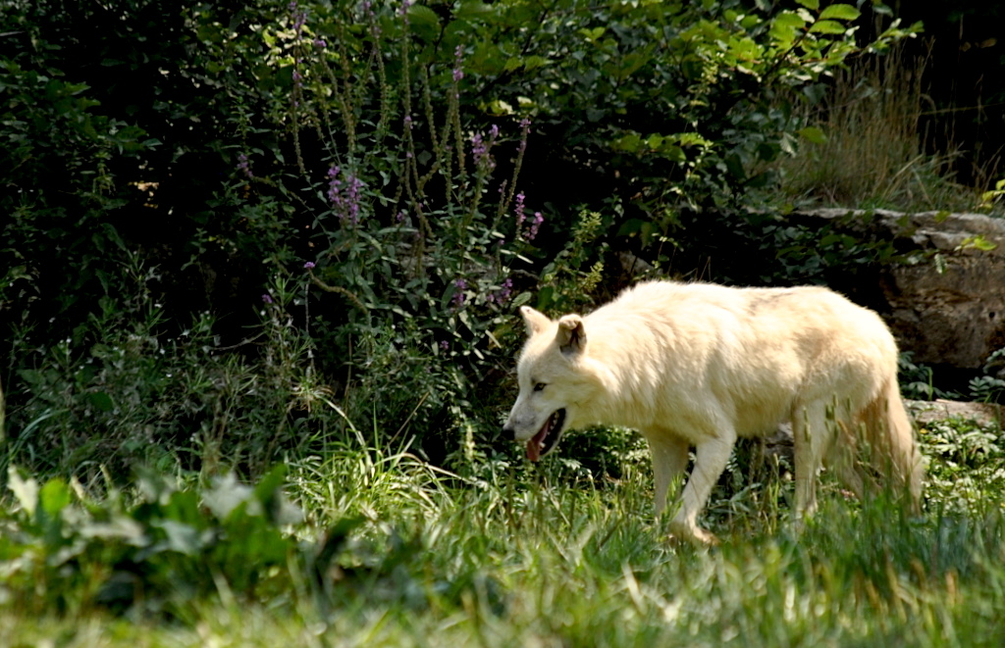 DSC_0083_1024.jpg