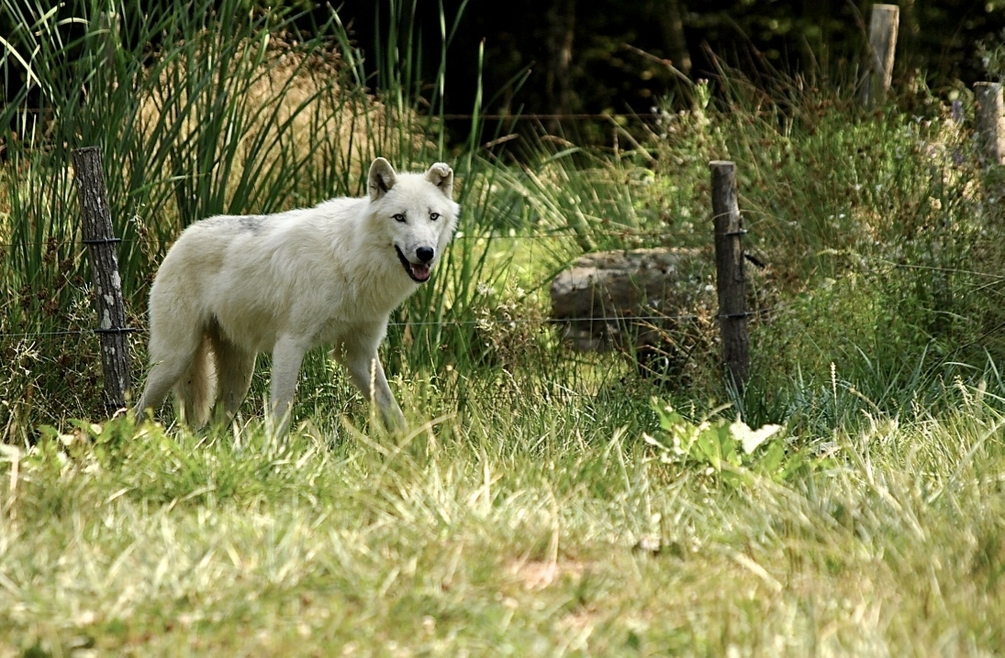 DSC_0085_1024.jpg