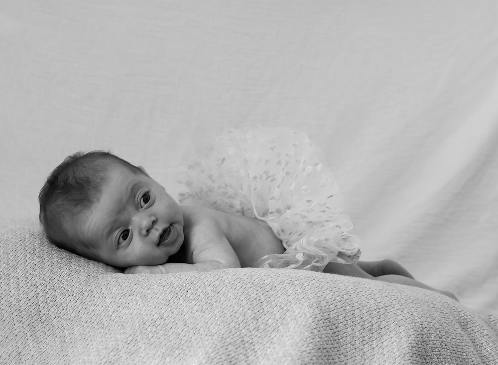DSC_3520.jpg.9b8a7691a731aacae9fb75305e7b848c.jpg