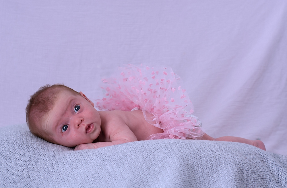 DSC_3521.jpg.13af8fa4c9fce57bb6e899231ef251b1.jpg