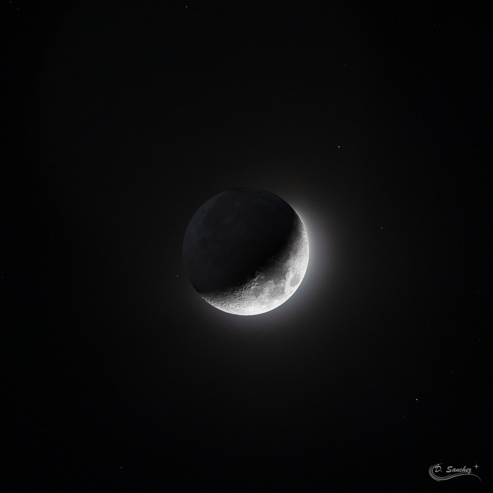 IMG_6827-Modifier.jpg.1a9fcb97e44a2e9a15571528451b8cca.jpg