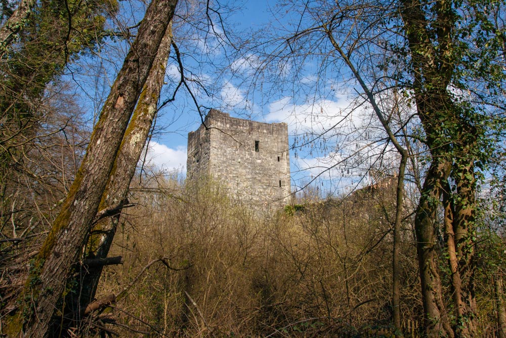 chateauthomas2-2.jpg.8eb387d4d5246cb7210aef5c0216e4b3.jpg