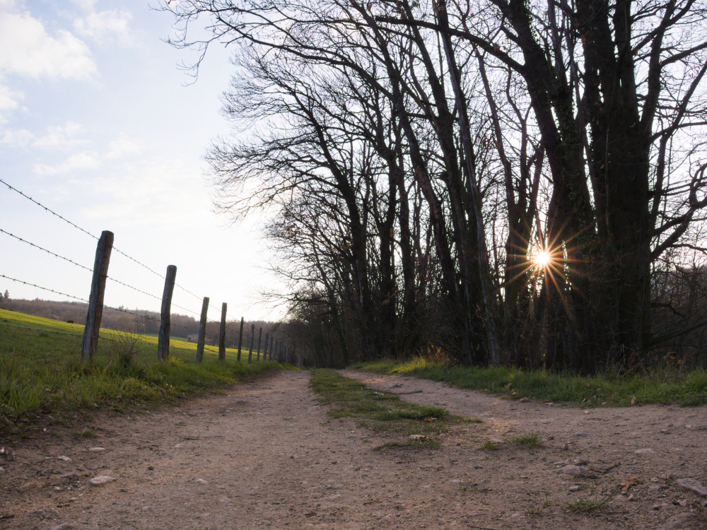chemin760.jpg.1ab0a0f513b9642a3fee706d7259f398.jpg