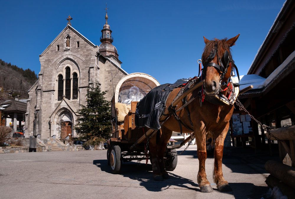 cheval2bornand.jpg.7817a352bf9f62f97534d2c0e59db52f.jpg