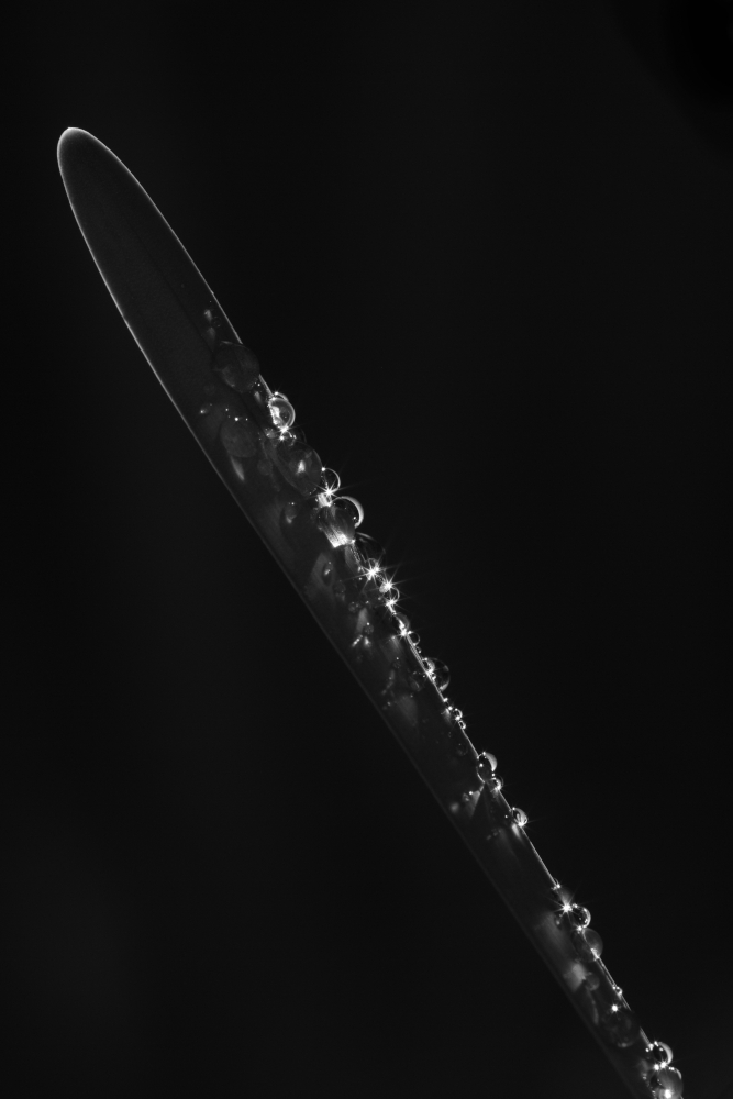 neon6641.jpg.739019c60fd753e0c973ae5791bc41df.jpg