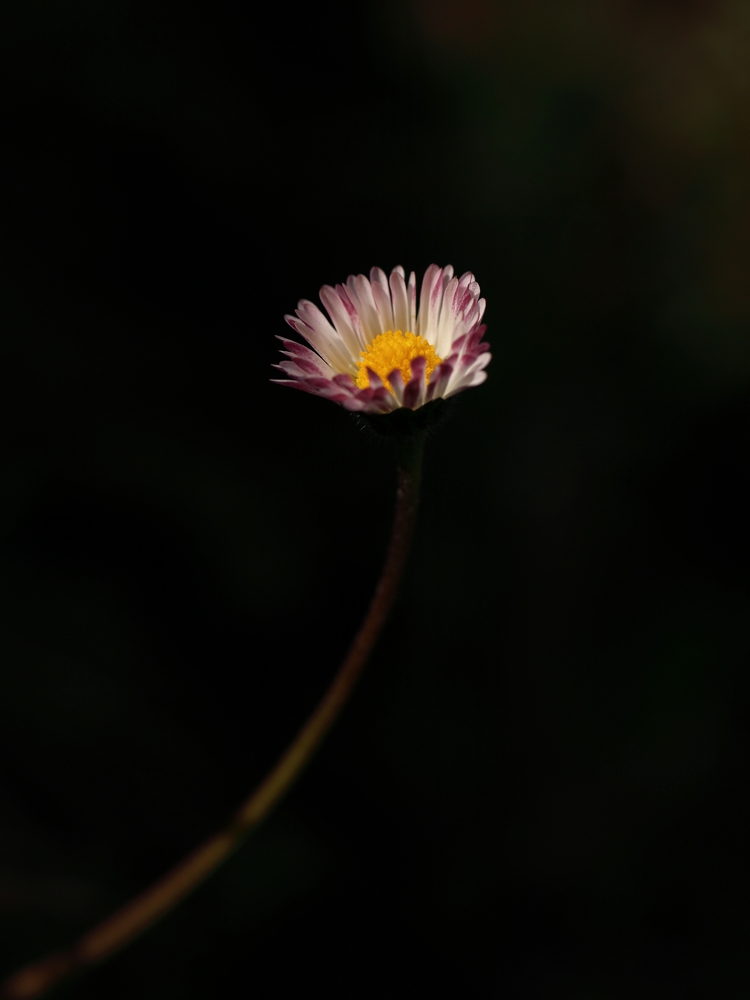 2G6A8544.JPG.a9f100a4c1082c572cde98c6cf815428.JPG