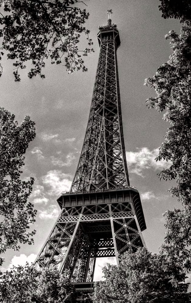 FB_IMG_1617265646644-01.jpeg.c93ee1768ce9ff2d5354b94dce5aa5ce.jpeg