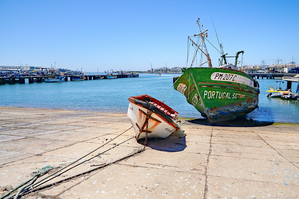 Portugal_2_1000.jpg.9a660238baceab94ef59c6a029a37937.jpg