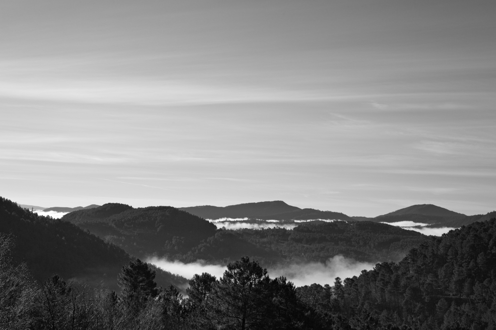 brume6612.jpg.1487d71bb68b1bae77edb41cab752d69.jpg