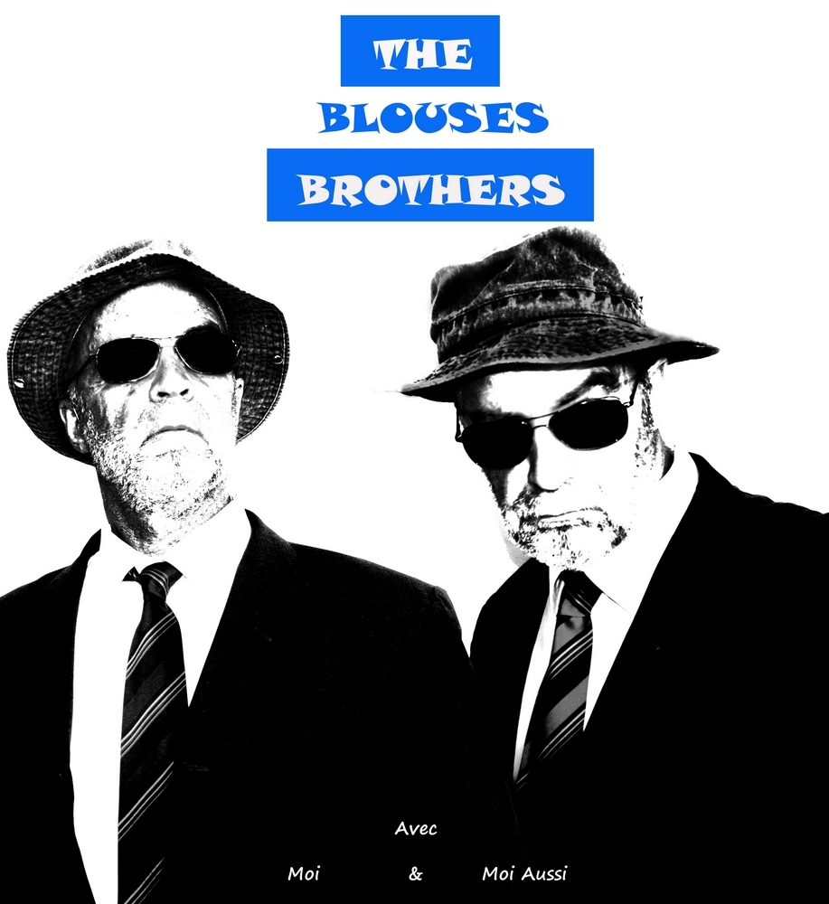 IMG_0725 Blues Brothers 1.jpg