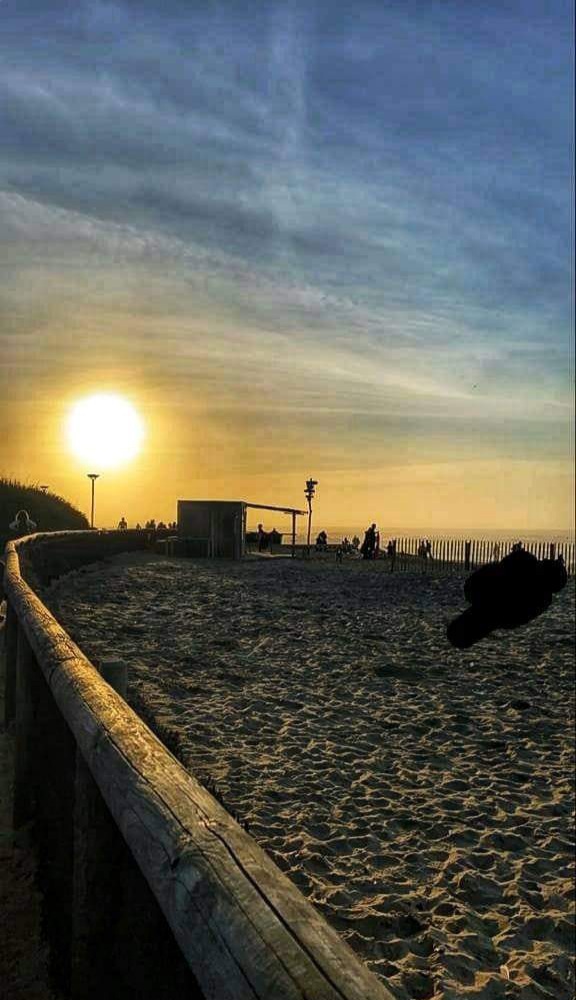 20210510_165841.jpg.3d3f67fe1c2a52ac8f011133f7c35444.jpg